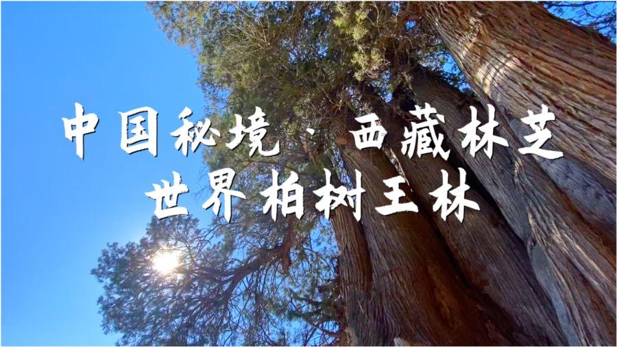 遮阳帐篷